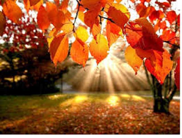 Тепло возвращается: синоптик уточнила прогноз погоды в Украине