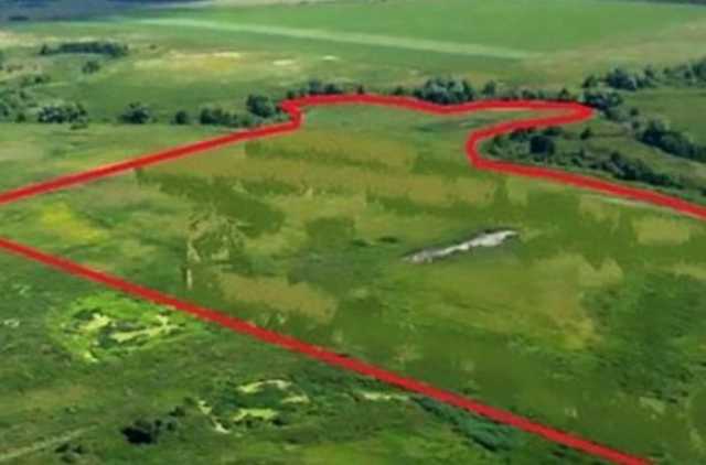 Кожен українець має право на безкоштовні 2,28 га землі