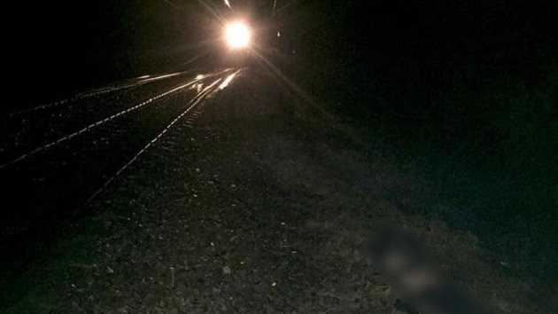 Под Харьковом поезд насмерть сбил женщину