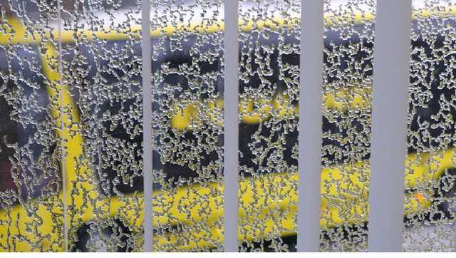 В Киеве грядут заморозки