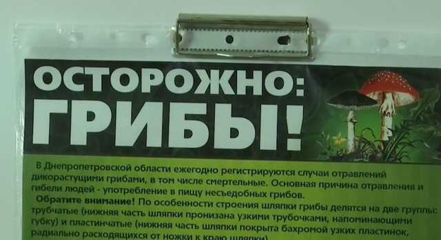 В Днепре семилетний мальчик умер от отравления грибами
