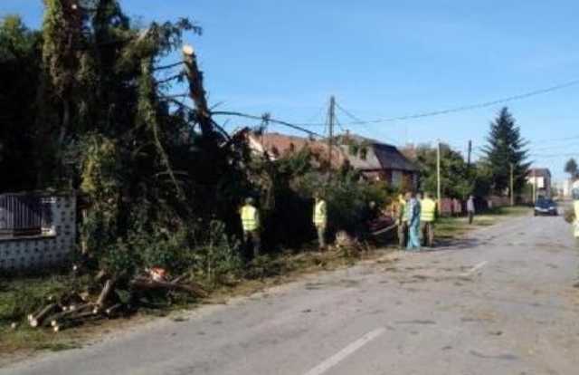 Село возле Ужгорода разрушило торнадо