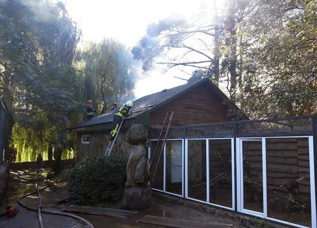 В Черкассах горел зоопарк