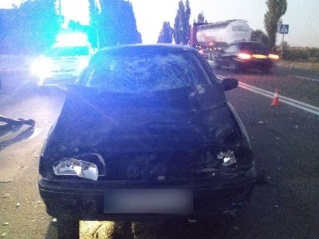 В Николаеве иномарка насмерть сбила корову на «зебре»