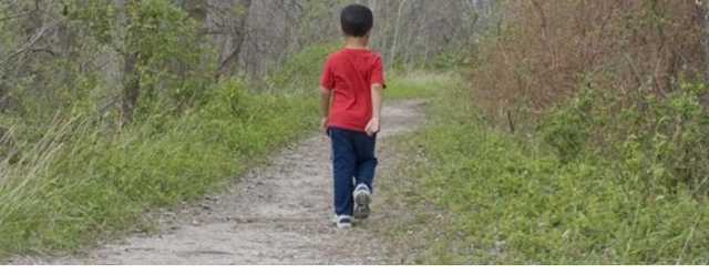 Под Киевом семья пошла в лес за грибами и потеряла ребенка