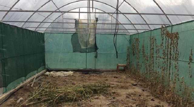 Торговца наркотиками в Мукачево приговорили к 9,5 лет лишения свободы