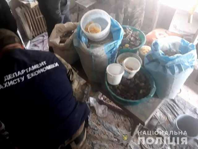 В Ровенской обл. разоблачили подпольный цех по обработке янтаря, изъяли 100 кг камня