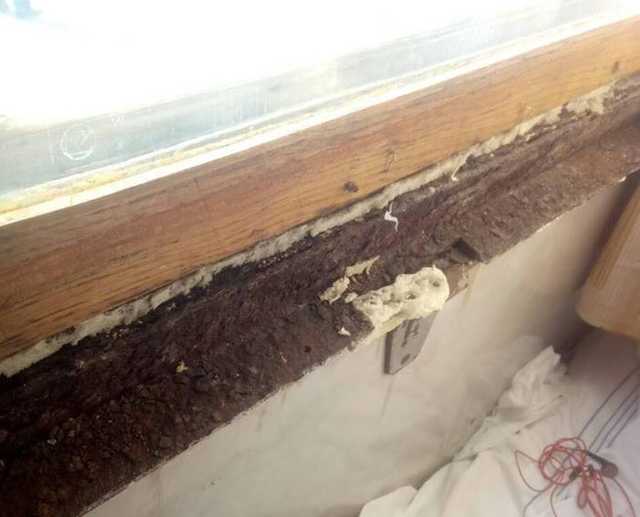 В "Укрзализныце" ответили пассажирке, на которую упала рама в поезде