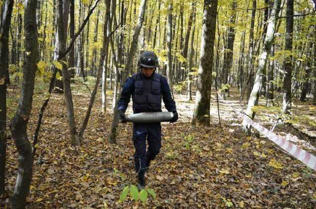 Спасатели рассказали, сколько взрывоопасных предметов нашли вокруг арсенала в Ичне