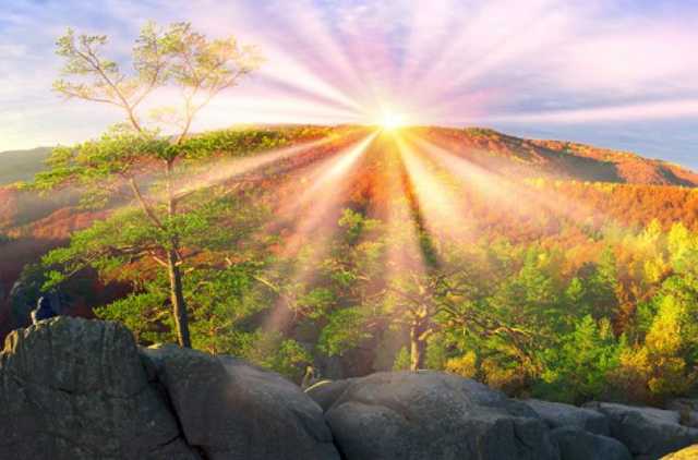 «Бабье лето» покидает Украину