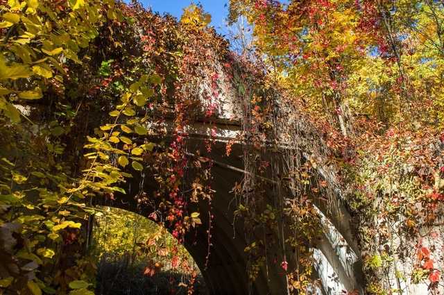 Как выглядит сегодня заброшенный зенитно-ракетный дивизион под Харьковом