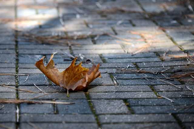 В Украину возвращается осенняя погода, наступают дожди