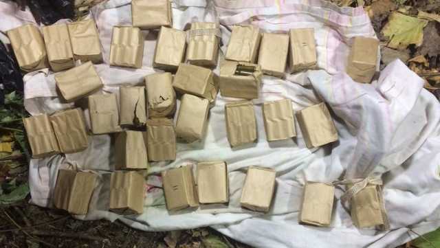 В Запорожской области нашли плантацию конопли с растяжками и охранниками