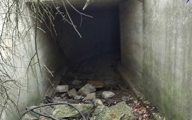 Теракт в Керчи: появились новые фото с ’’полигона’’ Рослякова