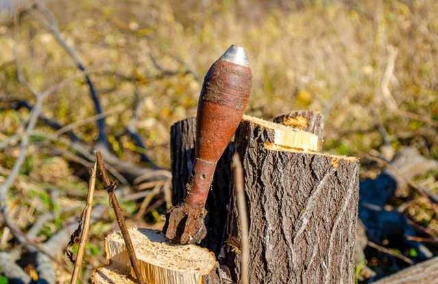 В Житомире прохожий наткнулся на мину