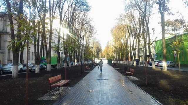 На Печерске в Киеве появилась аллея из 60 сакур