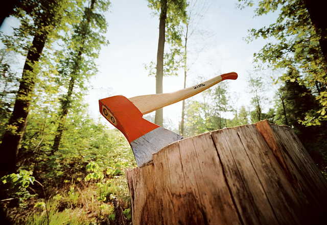 Лесник Черкасского военного лесничества за взятки вырубал деревья