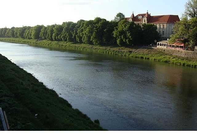 В крупнейшей реке Закарпатья произошла экологическая катастрофа