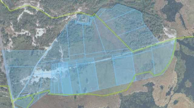 Екс-чиновника, який допустив приватизацію 64 га лісу, звільнили від відповідальності за строками давності