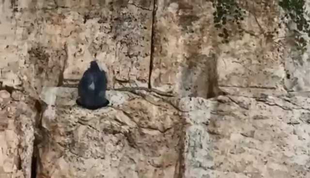 Конец света близок? В Иерусалиме сбылось третье пророчество об Апокалипсисе. Видеофакт