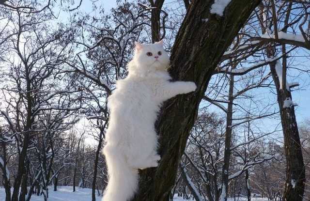 В Украину пришел антициклон, в конце недели ожидаются первые морозы