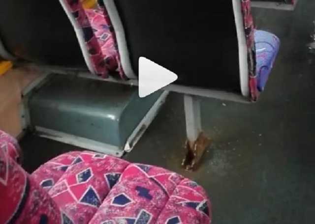 В Запорожской маршрутке шел дождь