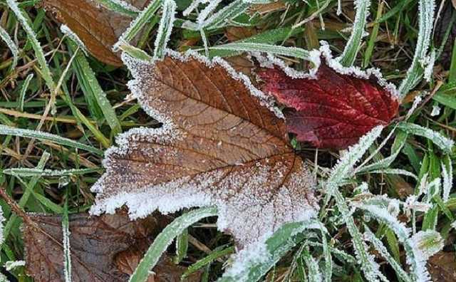 У Києві зафіксували перші заморозки