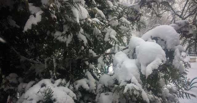 В Симферополе синоптики предупреждают о первом снеге