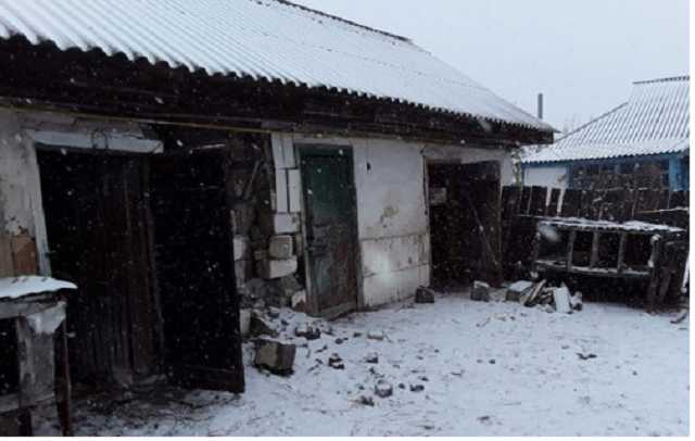 Догхантерам, які закатували більше 50 тварин загрожує до 8 років позбавлення волі