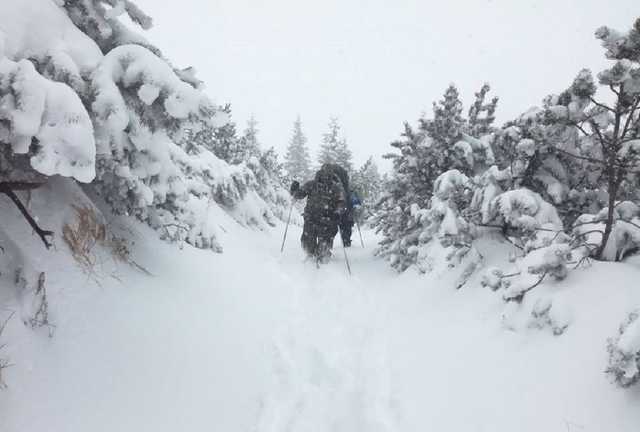 В ГСЧС призвали туристов воздержаться от походов в Карпаты: названа причина