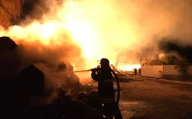 На Закарпатье 11-летняя девочка спасла во время пожара четверых детей