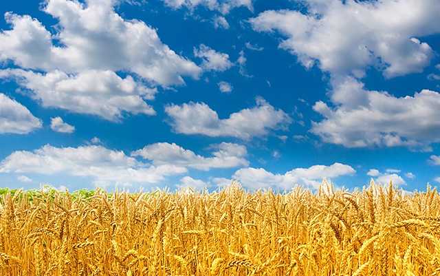 Соцопитування: українці найгірше ставляться до РФ