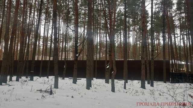 У Бучі роздерибанили землі Зеленої Бучі на користь скандального Зіневича