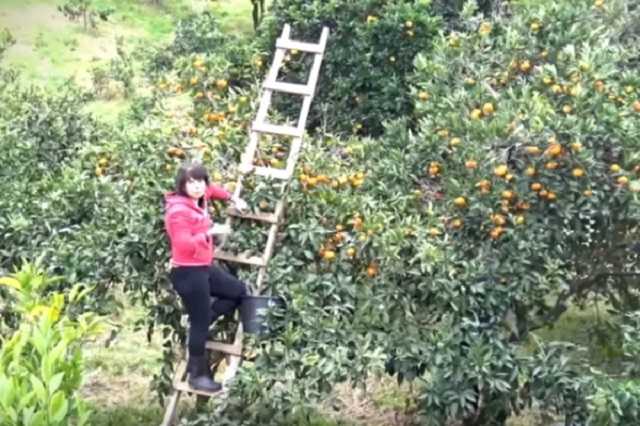 ’’Источник дешевой рабочей силы’’: стало известно, как спасаются жители Донбасса от ’’русского мира"