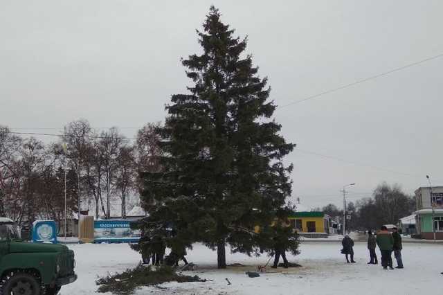В Черниговской области разразился скандал из-за новогодней елки