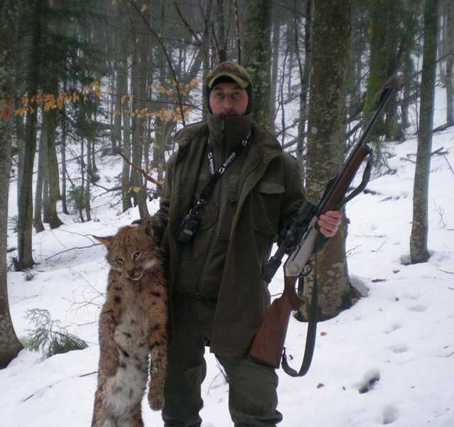 Закарпатский лесничий, убивший редкую рысь, пытается вернуться на работу через суд