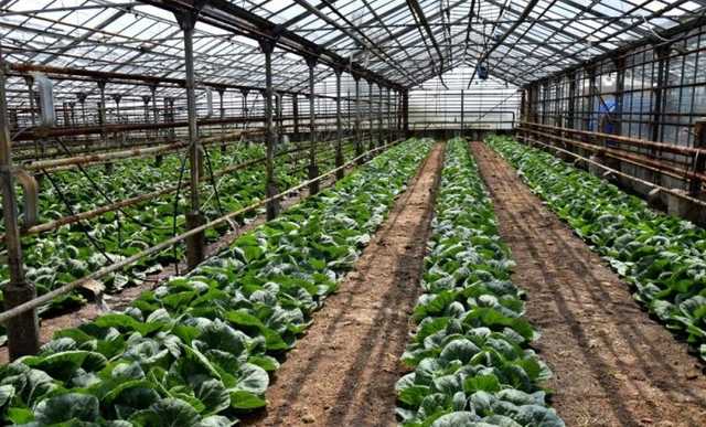 Все гниет: в Донецке показали гибель ’’детища’’ экс-главаря ’’ДНР’’ Захарченко