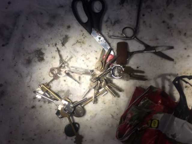 Полицейские Ивано-Франковска поймали банду автоворов