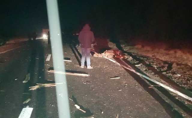 В Одесской области столкнулись BMW и гужевая повозка: Один человек погиб, двое пострадали