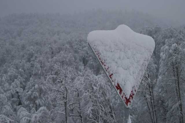 Полтаву замело снегом, в области отменили многие автобусные рейсы