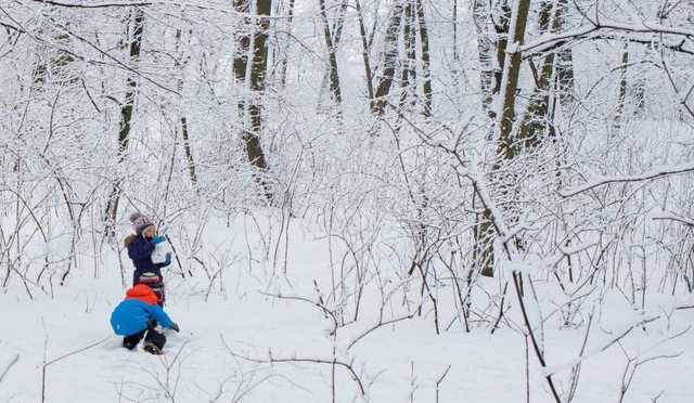 На Полтавщине из-за непогоды отменили занятия в школах