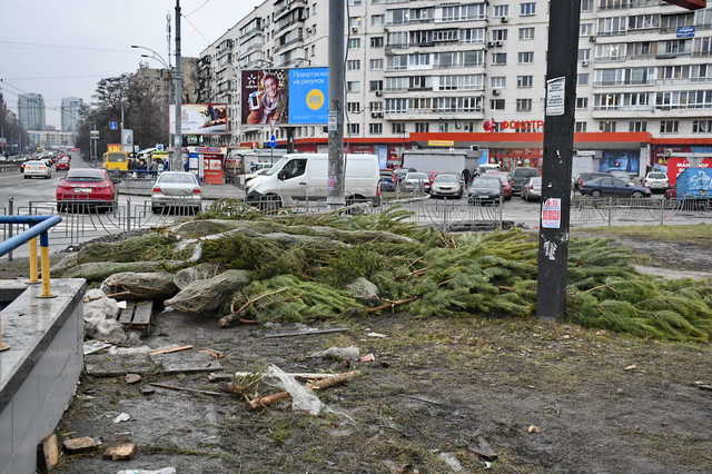Бросили продавцы: в Соломенском районе Киева образовалась свалка из-за непроданных новогодних елок