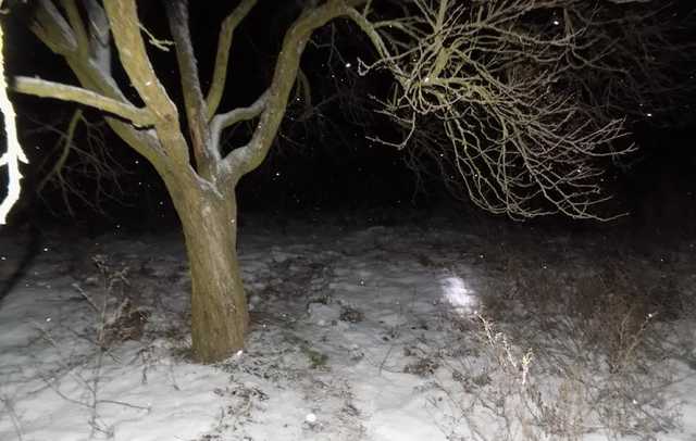 В Винницкой области 44-летний мужчина зарезал отца и закопал в огороде