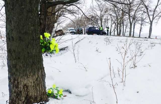 В жутком ДТП на Тернопольщине погибли водитель и малолетний ребенок
