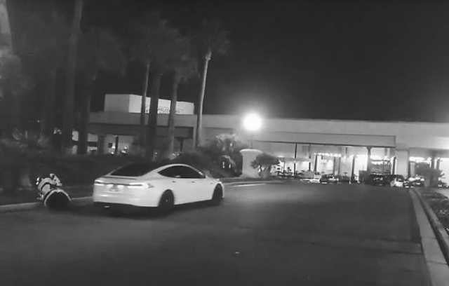 Выскочил на дорогу: Tesla на автопилоте сбила российского робота