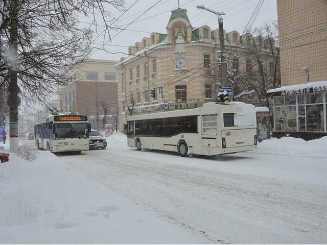 В центре Кропивницкого расхаживала голая женщина