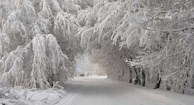 В Украину ворвется резкое потепление: появился свежий прогноз погоды