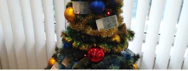 В Верховной Раде елку украсили деньгами