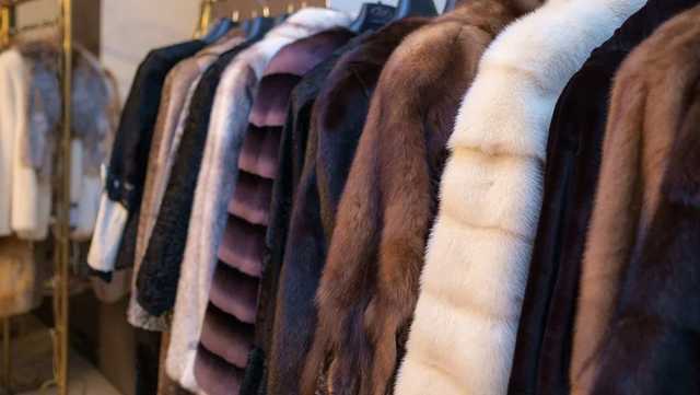 В Одессе задержали молодую пару, похитившую 14 шуб и пуховиков из гостиницы