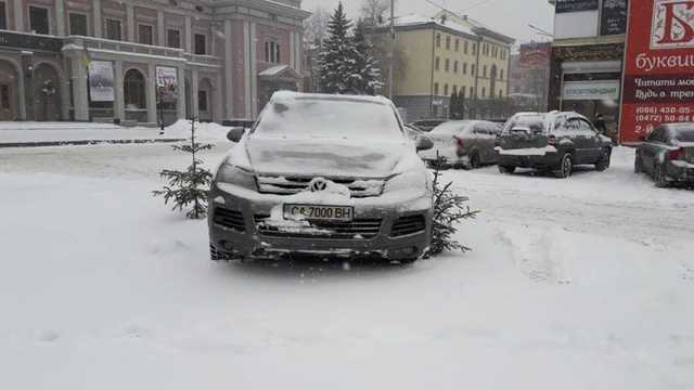 “Герой парковки” в Черкассах оставил свою машину на дереве